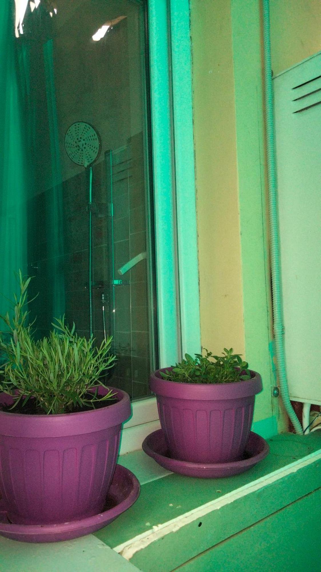 Casa Vacanza Kadya Turín Exterior foto